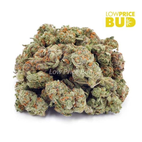 Buy Cookie Dough (AAAA) – Popcorn Nugs online Canada