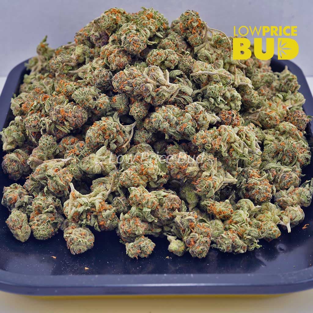 Buy Cookie Dough (AAAA) – Popcorn Nugs online Canada