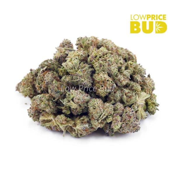 Buy Blueberry Cookies (AAAA) – Popcorn Nugs online Canada