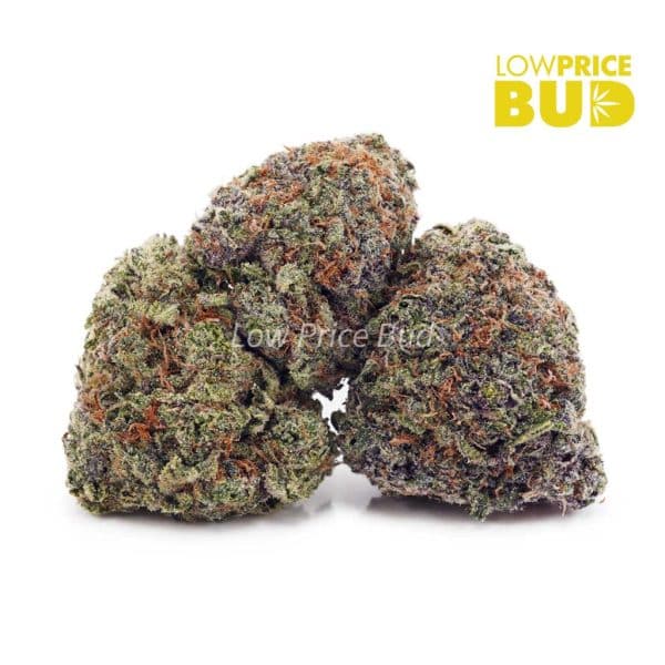 Buy White Widow (AAA) online Canada