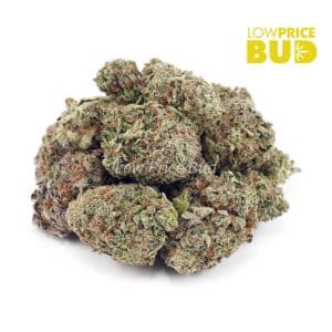 Buy White Widow (AAA) online Canada