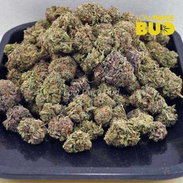 Buy White Widow (AAA) online Canada