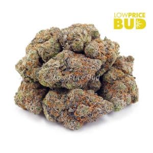 Buy NYC Cheesecake (AAA) online Canada