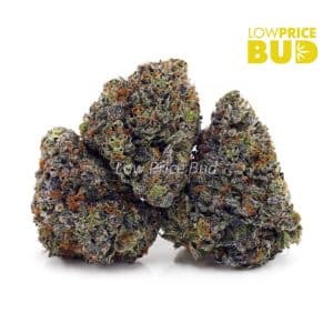 Buy OG Octane (Craft Cannabis) online Canada