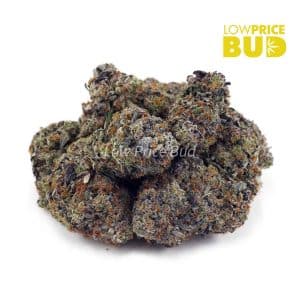 Buy OG Octane (Craft Cannabis) online Canada