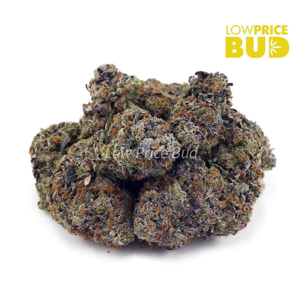 Buy OG Octane (Craft Cannabis) online Canada