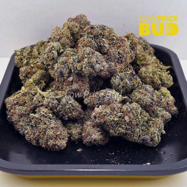 Buy OG Octane (Craft Cannabis) online Canada