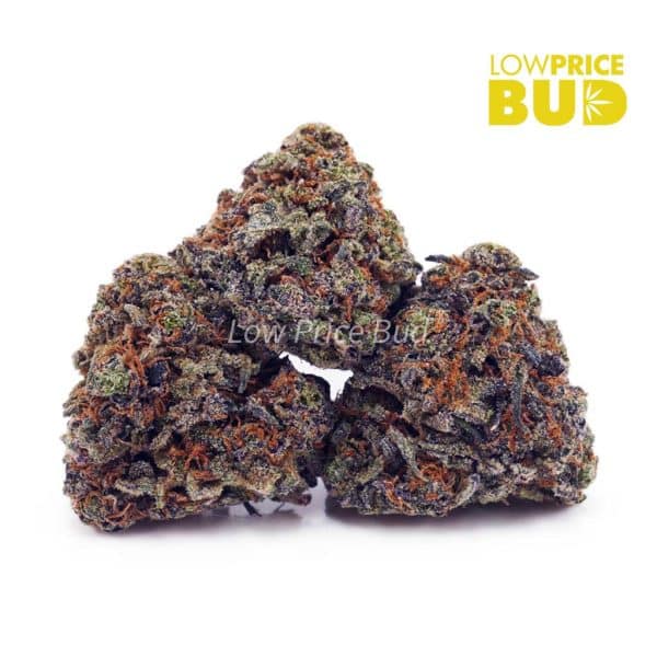 Buy Slurricane (AAA) online Canada