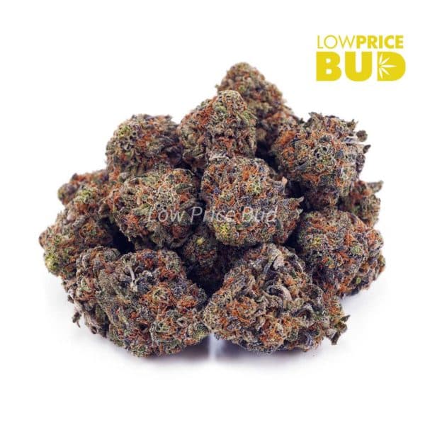 Buy Slurricane (AAA) online Canada