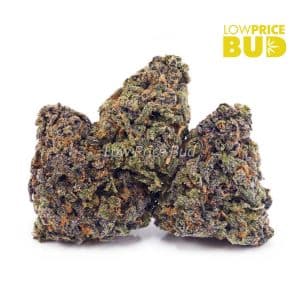 Buy Durban Poison (AA) online Canada