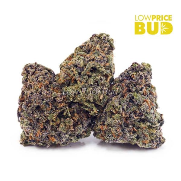 Buy Durban Poison (AA) online Canada