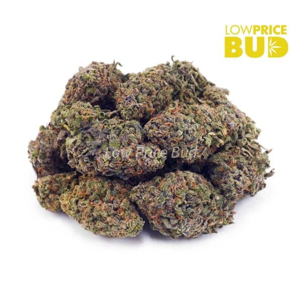 Buy Durban Poison (AA) online Canada