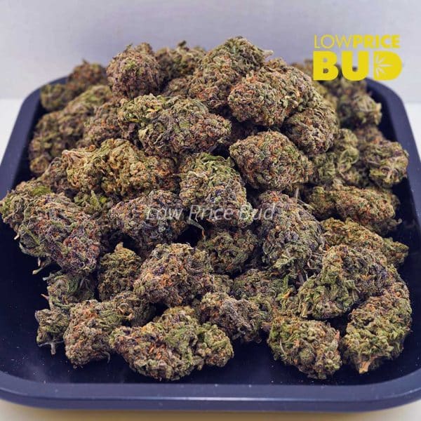 Buy Durban Poison (AA) online Canada