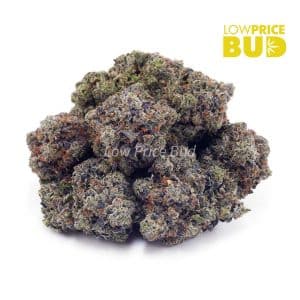 Buy Couch Lock (Craft Cannabis) online Canada