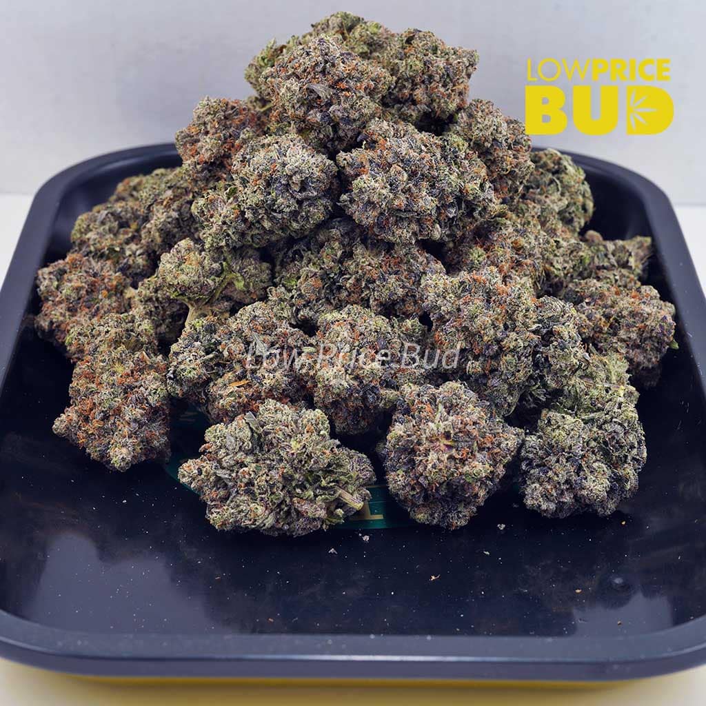 Couch Lock (Craft Cannabis) Buy Couch Lock (Craft Cannabis) online Canada