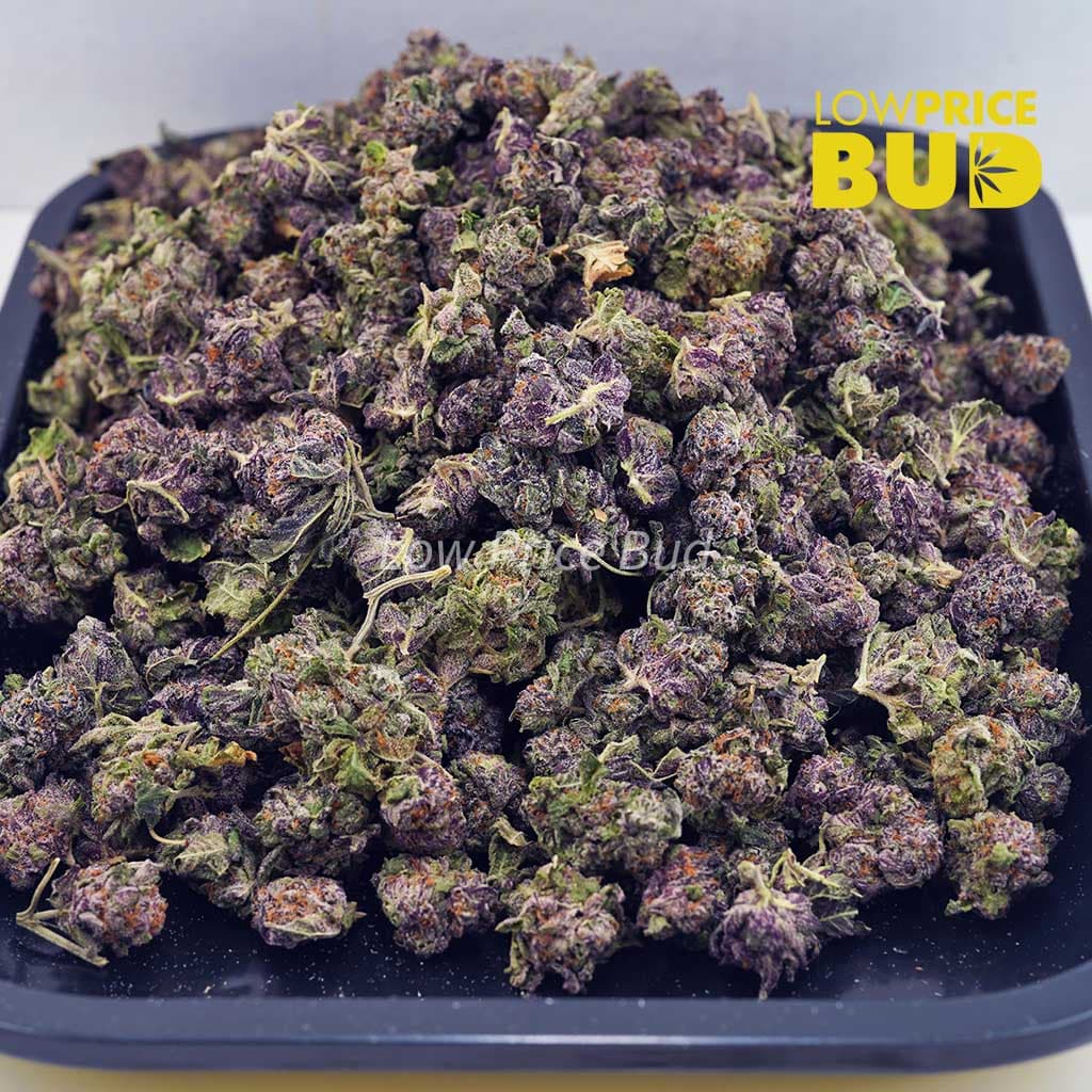 Buy Orange Creamsicle (AAAA) – Popcorn Nugs online Canada