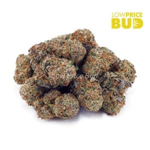 Blueberry Cough (AAAA) Buy Blueberry Cough (AAAA) online Canada