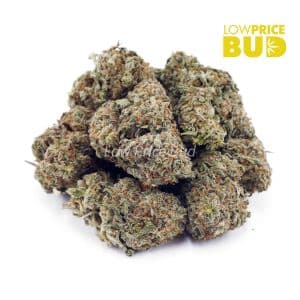 Buy Hawaiian Snow (AA) online Canada