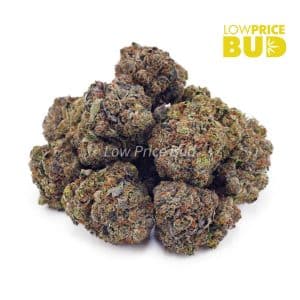 Buy Dank Kush Breath (Craft Cannabis) online Canada