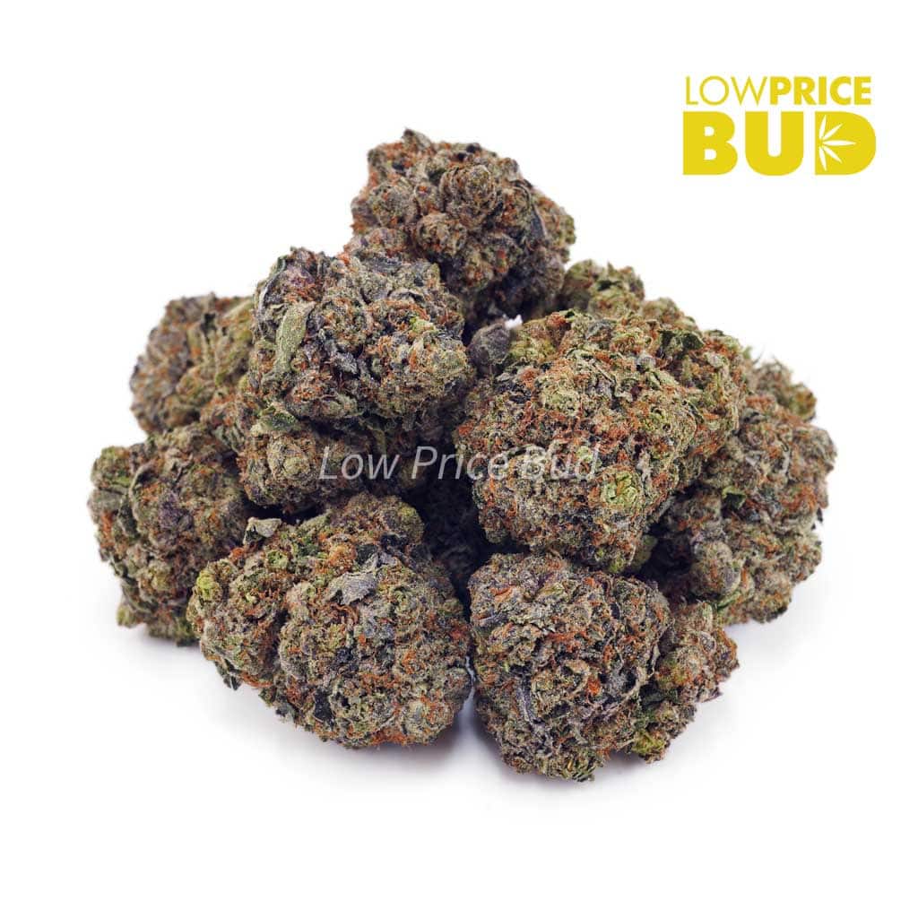 Buy Dank Kush Breath (Craft Cannabis) online Canada