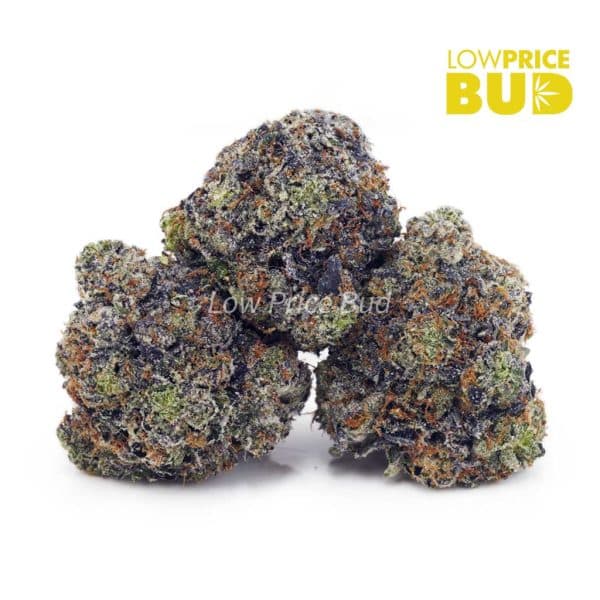 Buy Mike Tyson (Craft Cannabis) online Canada