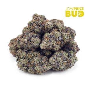 Buy Mike Tyson (Craft Cannabis) online Canada