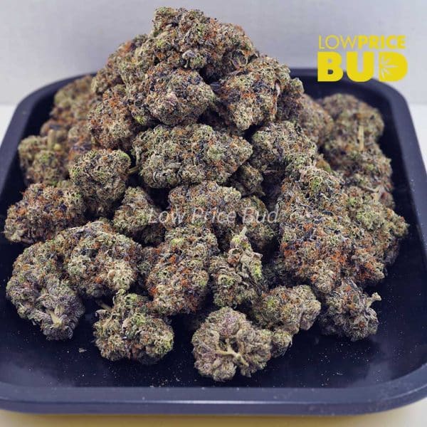 Buy Mike Tyson (Craft Cannabis) online Canada