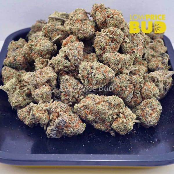 Buy Fruity Pebbles OG (AAA) online Canada