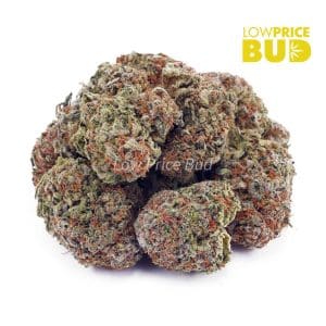 Buy Cookies and Cream (AAA) online Canada