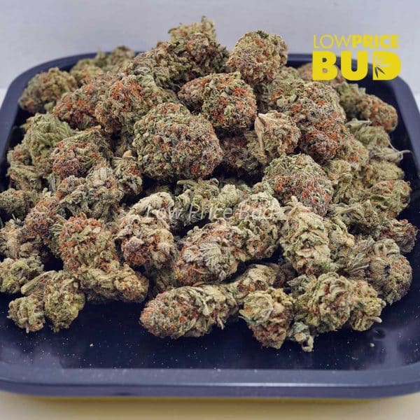 Buy Cookies and Cream (AAA) online Canada