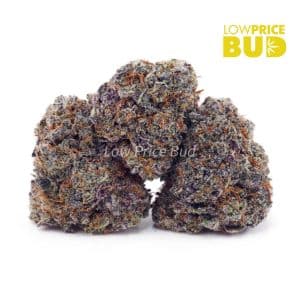 Buy Mango Haze (AAA) online Canada