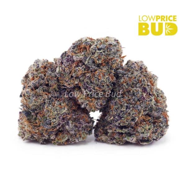 Buy Mango Haze (AAA) online Canada