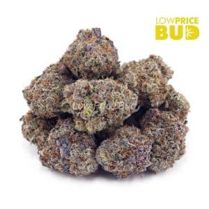 Buy Mango Haze (AAA) online Canada