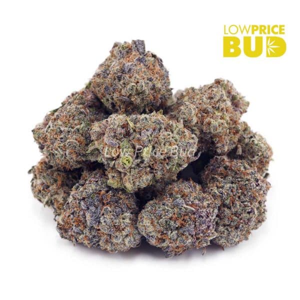 Buy Mango Haze (AAA) online Canada