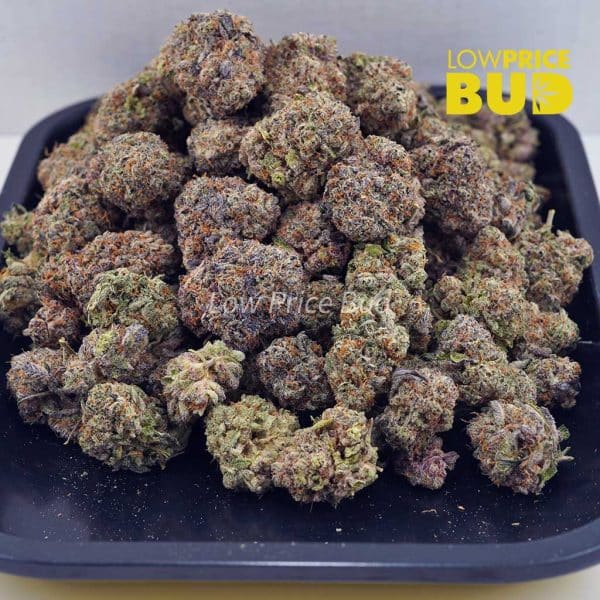Buy Mango Haze (AAA) online Canada