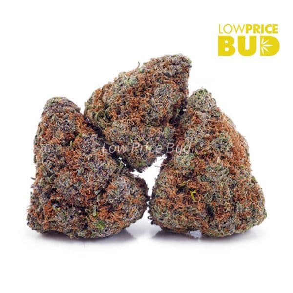 Buy Super Skunk (AAAA) online Canada