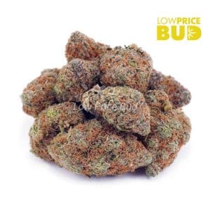 Buy Super Skunk (AAAA) online Canada