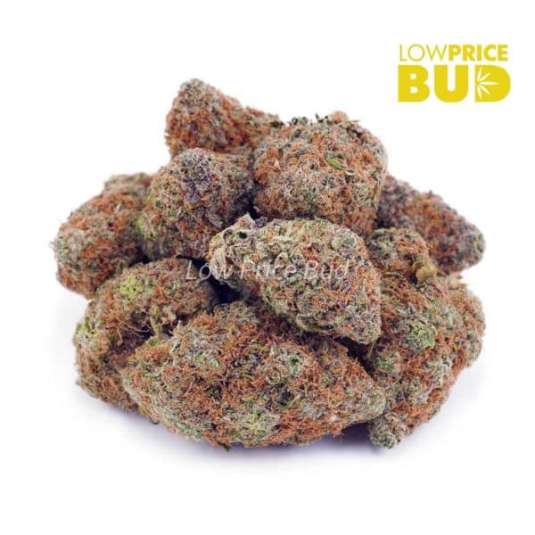 Buy Super Skunk (AAAA) online Canada