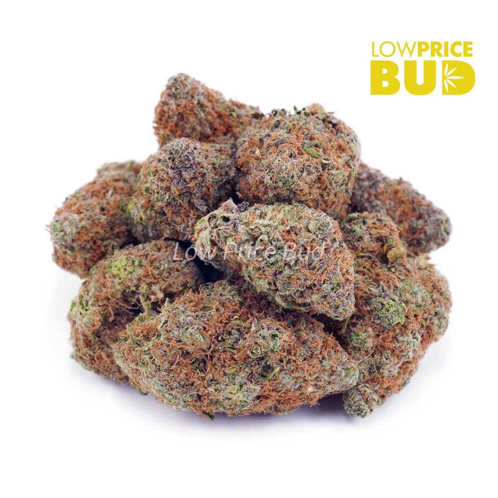 Buy Super Skunk (AAAA) online Canada