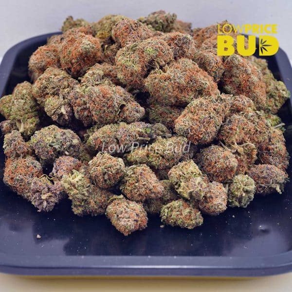 Buy Super Skunk (AAAA) online Canada