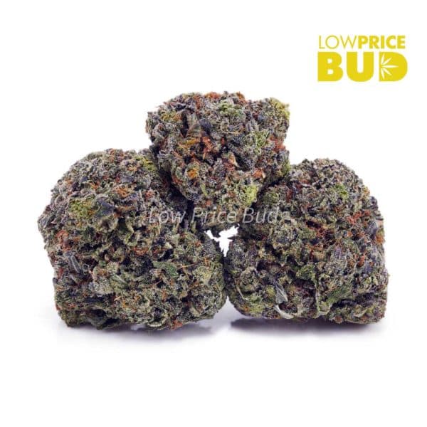 Buy Master Kush Ultra (AAA) online Canada