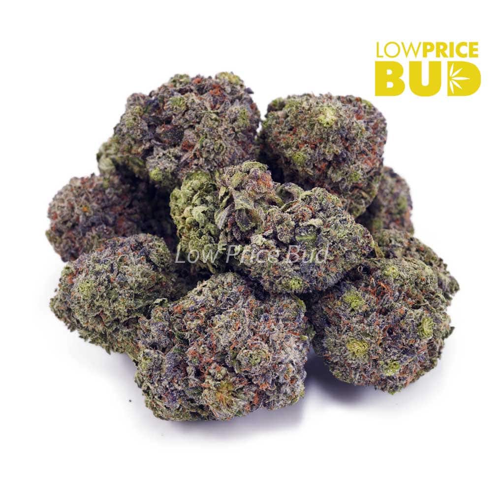 Buy Master Kush Ultra (AAA) online Canada