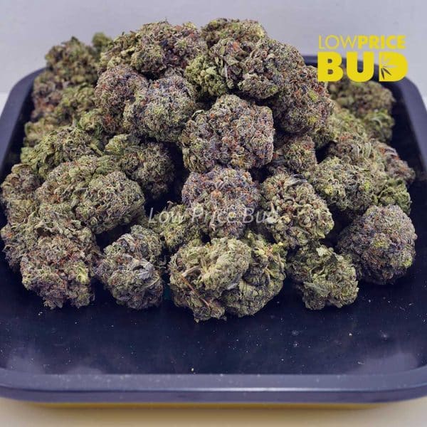 Buy Master Kush Ultra (AAA) online Canada
