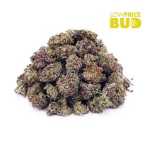Buy Astro Cookies (AAAA) – Popcorn Nugs online Canada