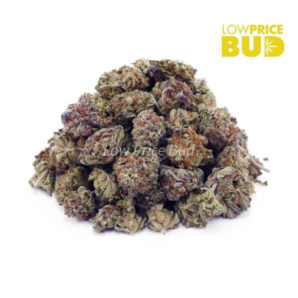 Buy Astro Cookies (AAAA) – Popcorn Nugs online Canada