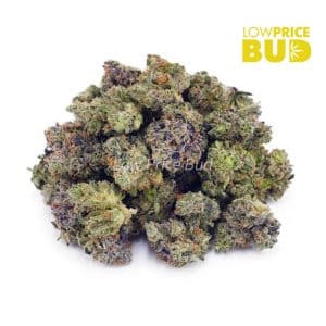 Buy Permanent Marker (AAAA) – Popcorn Nugs online Canada