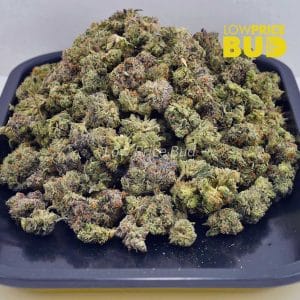 Buy Permanent Marker (AAAA) – Popcorn Nugs online Canada