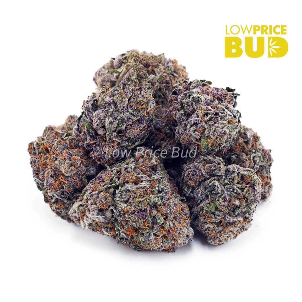 Buy Grape Stomper (AAAA) online Canada