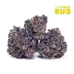 Buy 33 Splitter (AAAA) online Canada