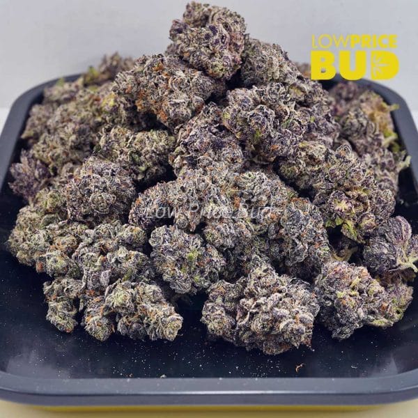 Buy 33 Splitter (AAAA) online Canada